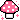 きのこ