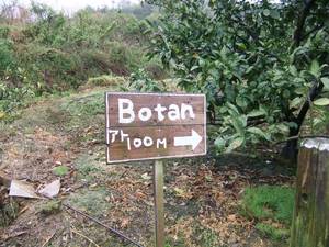 Ｂｏｔａｎ1