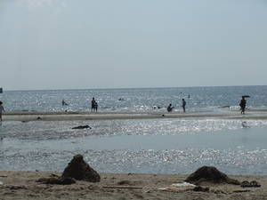 海