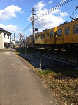 うさぎあん