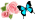 ちょうちょ