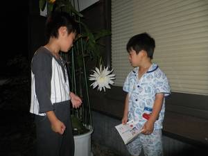 月下美人2