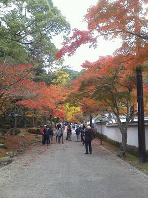 宮島2