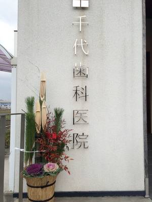 2015年