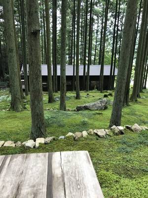 苔筵3