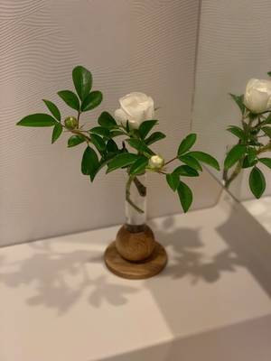 お花屋さん6