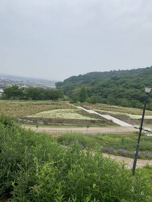 出釈迦寺3