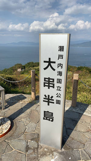 大串