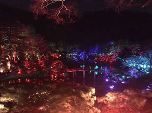 光の祭